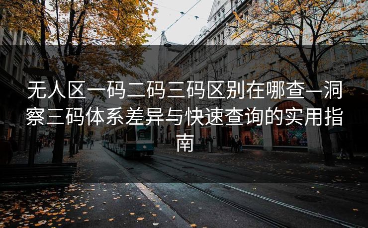 无人区一码二码三码区别在哪查—洞察三码体系差异与快速查询的实用指南