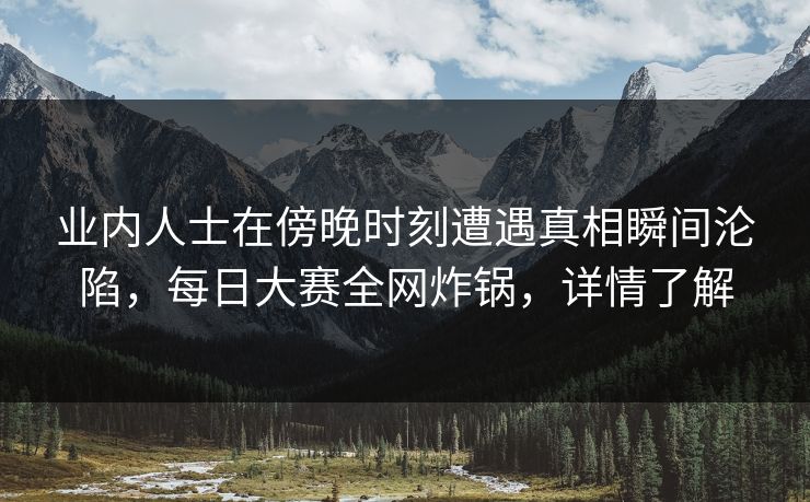 业内人士在傍晚时刻遭遇真相瞬间沦陷，每日大赛全网炸锅，详情了解