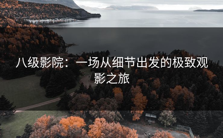八级影院：一场从细节出发的极致观影之旅